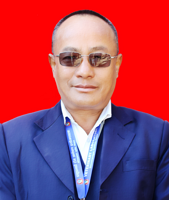 Mr. Dal Bahadur Shrestha