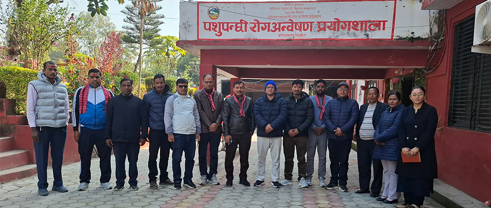 Slider Image: Veterinary Laboratory Team